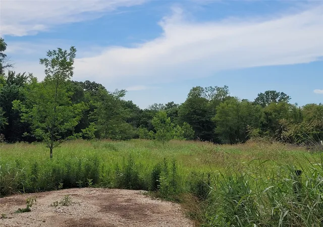 Homes for sale in Clarksville, TX | 422 County Road 1345, Clarksville, TX 75426 | MLS# 21294860