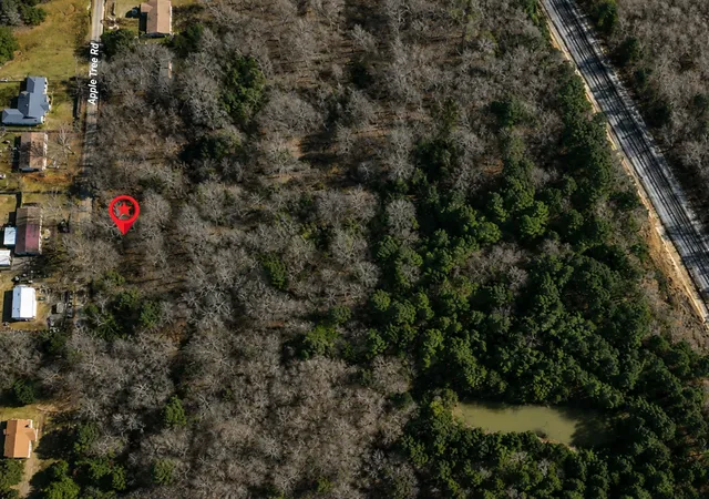 Homes for sale in Gilmer, TX | Tbd Apple Tree Rd, Gilmer, TX 75644 | MLS# 21296085