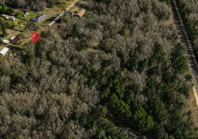 Homes for sale in Gilmer, TX | Tbd Apple Tree Rd, Gilmer, TX 75644 | MLS# 21296085