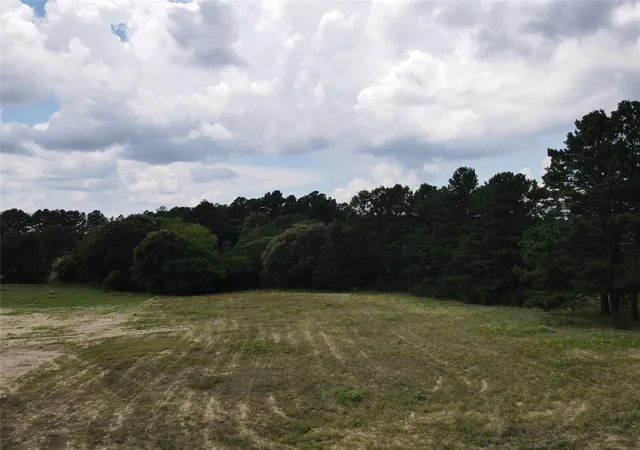 Photo 3 of Land for sale at Tbd Palomino Ct, Athens, TX 75752 | MLS# 21296273 | Listing updated on 2026-09-01
