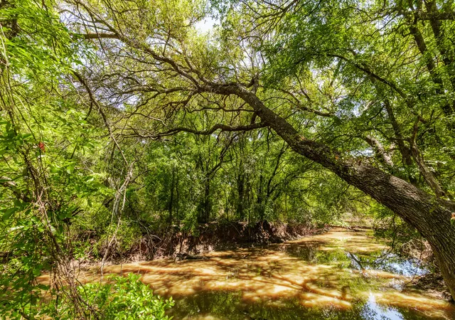 Photo 3 of Land for sale at Tbd County Road 120, Coleman, TX 76834 | MLS# 21296392 | Listing updated on 2026-08-28