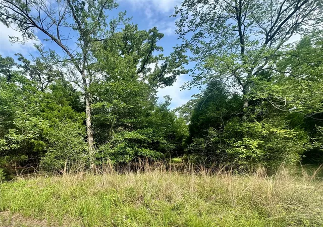 Homes for sale in Log Cabin, TX | Lot 2111 Butch Cassidy Dr, Log Cabin, TX 75148 | MLS# 21295959
