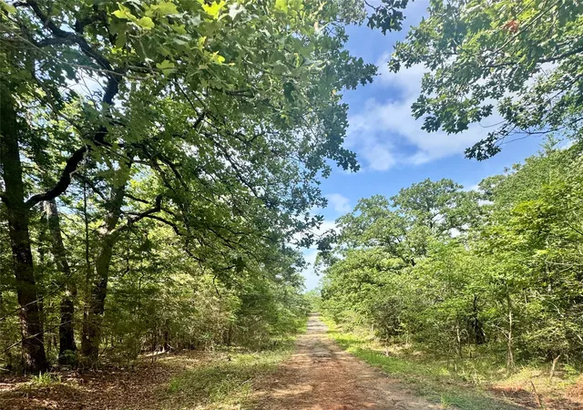 Homes for sale in Log Cabin, TX | Lot 2111 Butch Cassidy Dr, Log Cabin, TX 75148 | MLS# 21295959