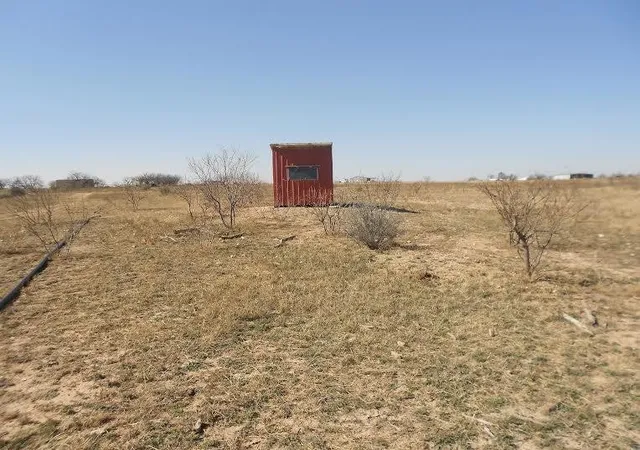 Homes for sale in Winters, TX | 119 County Road 351, Winters, TX 79567 | MLS# 21296910