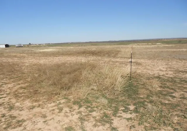 Homes for sale in Winters, TX | 119 County Road 351, Winters, TX 79567 | MLS# 21296910