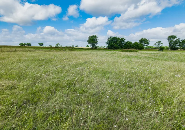 Photo 2 of Land for sale at 255 Turkey Run Rd, Crawford, TX 76638 | MLS# 21296982 | Listing updated on 2026-08-25