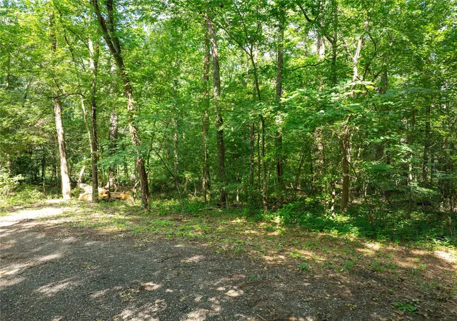 Photo 3 of Land for sale at Tbd Bandera, Mount Vernon, TX 75457 | MLS# 21297590 | Listing updated on 2026-08-18