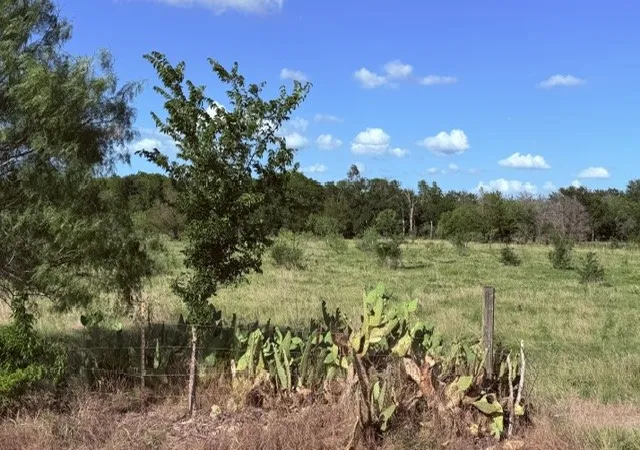 Photo 4 of Land for sale at 5921 Fm 636, Kerens, TX 75144 | MLS# 21297632 | Listing updated on 2026-09-04