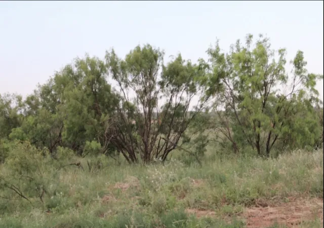 Homes for sale in Rotan, TX | 300 County Road 232, Rotan, TX 79546 | MLS# 21297958
