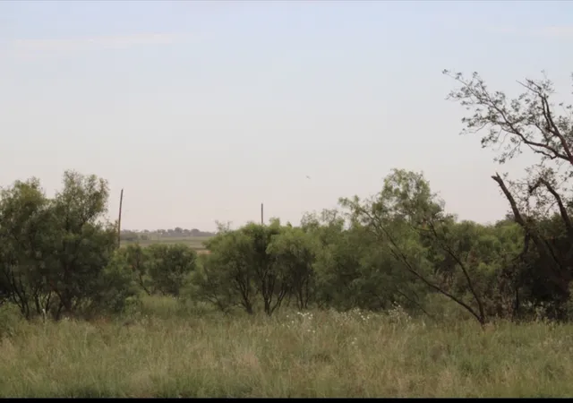 Homes for sale in Rotan, TX | 300 County Road 232, Rotan, TX 79546 | MLS# 21297958