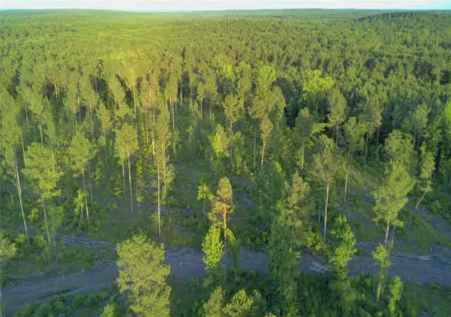Photo 3 of Land for sale at 0 Old Plain Dealing Rd, Plain Dealing, LA 71064 | MLS# 21298103 | Listing updated on 2026-08-22