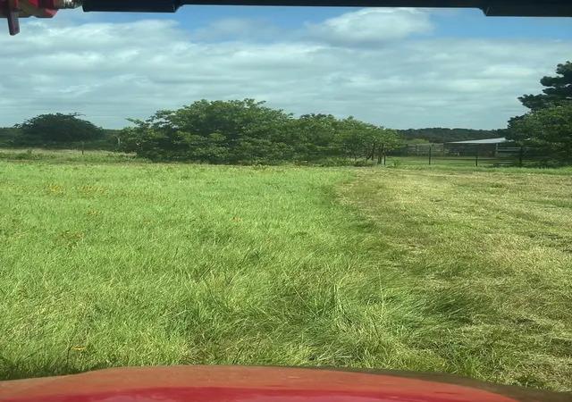 Photo 2 of Land for sale at 0 Tbd Hcr 1414, Covington, TX 76636 | MLS# 21298125 | Listing updated on 2026-08-17
