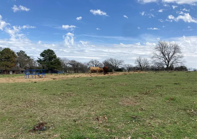 Photo 3 of Land for sale at 0 Tbd Hcr 1414, Covington, TX 76636 | MLS# 21298125 | Listing updated on 2026-08-17