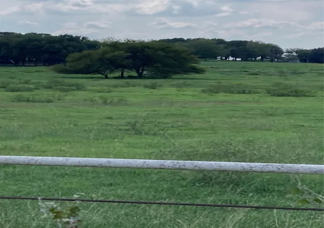 Photo 3 of Land for sale at 0 Tbd Hcr 1414, Covington, TX 76636 | MLS# 21298125 | Listing updated on 2026-08-17
