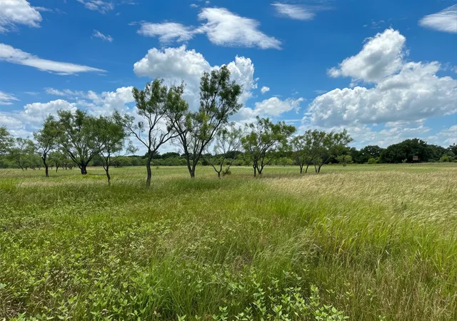 Photo 3 of Land for sale at 38 White Wing Cir, Blanket, TX 76432 | MLS# 21298197 | Listing updated on 2026-08-22