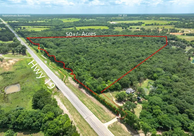 Land for sale at Tbd Tx-19, Edgewood, TX 75117 | MLS# 21290639
