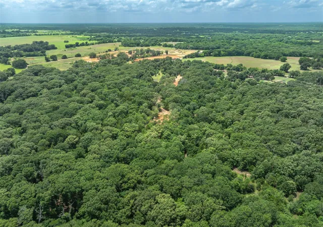 Photo 3 of Land for sale at Tbd Tx 19, Edgewood, TX 75117 | MLS# 21290639 | Listing updated on 2026-09-05