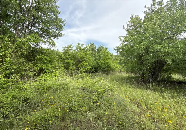 Homes for sale in De Leon, TX | 316 County Road 458, De Leon, TX 76444 | MLS# 21297793