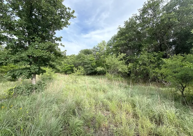 Homes for sale in De Leon, TX | 316 County Road 458, De Leon, TX 76444 | MLS# 21297793