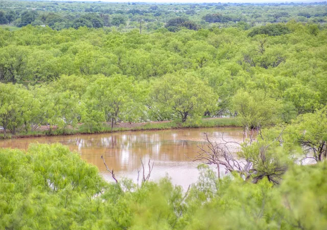 Homes for sale in Baird, TX | N/a Hwy 36, Baird, TX 79504 | MLS# 21298792