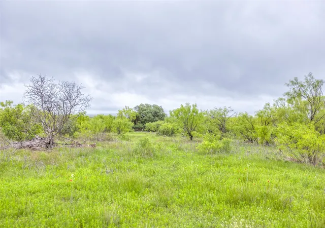 Homes for sale in Baird, TX | N/A Hwy 36, Baird, TX 79504 | MLS# 21298792