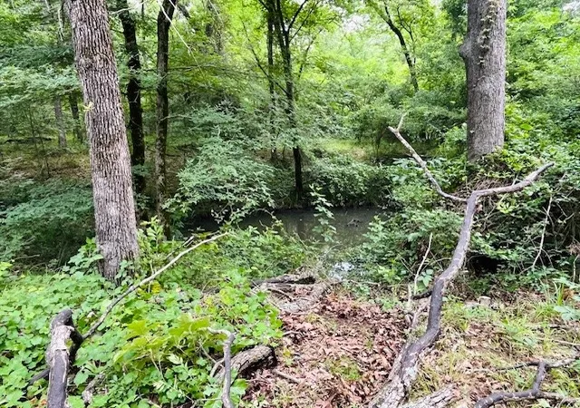 Land for sale at 950 Vz County Road 1919, Fruitvale, TX 75127 | MLS# 21298868