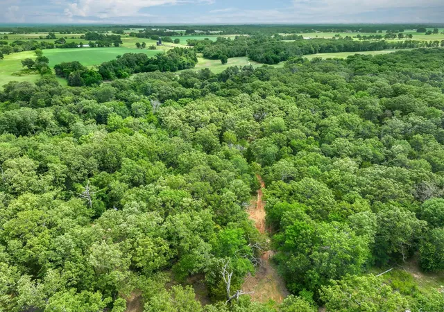 Photo 3 of Land for sale at 950 Vz County Road 1919, Fruitvale, TX 75127 | MLS# 21298868 | Listing updated on 2026-08-22