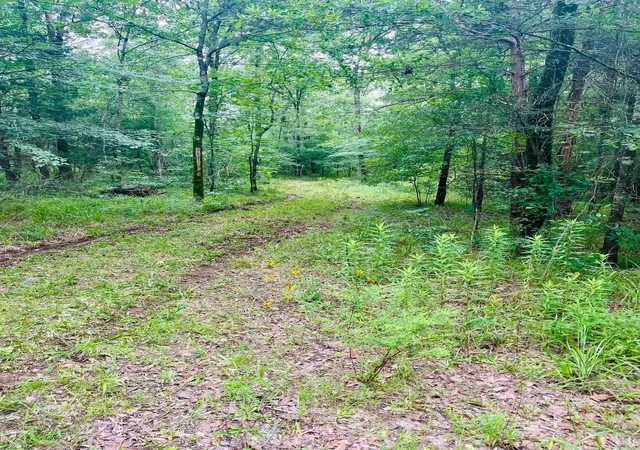 Photo 4 of Land for sale at 950 Vz County Road 1919, Fruitvale, TX 75127 | MLS# 21298868 | Listing updated on 2026-08-22