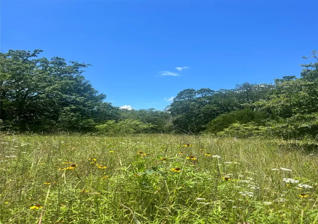 Photo 1 of Land for sale at Tbd Fm 39, Groesbeck, TX 76642 | MLS# 21298120 | Listing updated on 2026-08-22