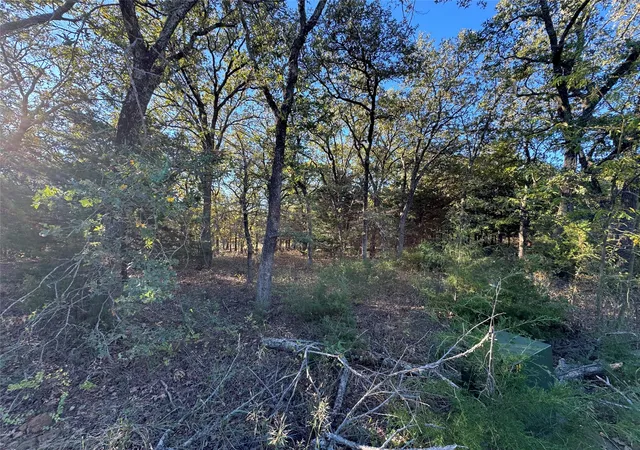 Homes for sale in Tioga, TX | 20 Timber Trl, Tioga, TX 76271 | MLS# 21298607