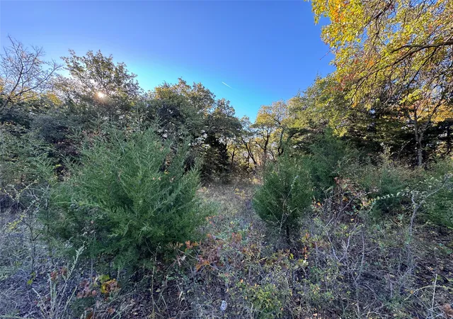 Homes for sale in Tioga, TX | 20 Timber Trl, Tioga, TX 76271 | MLS# 21298607