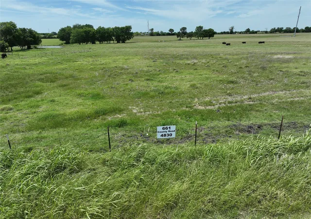 Homes for sale in Leonard, TX | Tbd Tract 4 County Road 4830, Leonard, TX 75452 | MLS# 21290792