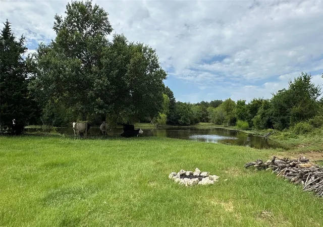 Photo 1 of Land for sale at Tbd Lcr 786, Thornton, TX 76687 | MLS# 21299945 | Listing updated on 2026-08-22