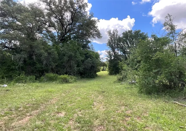 Homes for sale in Gustine, TX | Tbd W Fm 2486, Gustine, TX 76455 | MLS# 21299988
