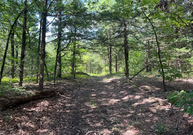 Photo 1 of Land for sale at 9999 Fm 409, Honey Grove, TX 75446 | MLS# 21299482 | Listing updated on 2026-08-22