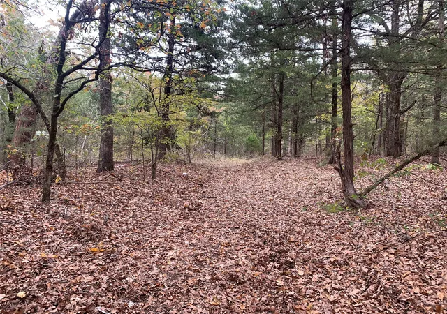 Photo 3 of Land for sale at 9999 Fm 409, Honey Grove, TX 75446 | MLS# 21299482 | Listing updated on 2026-10-06