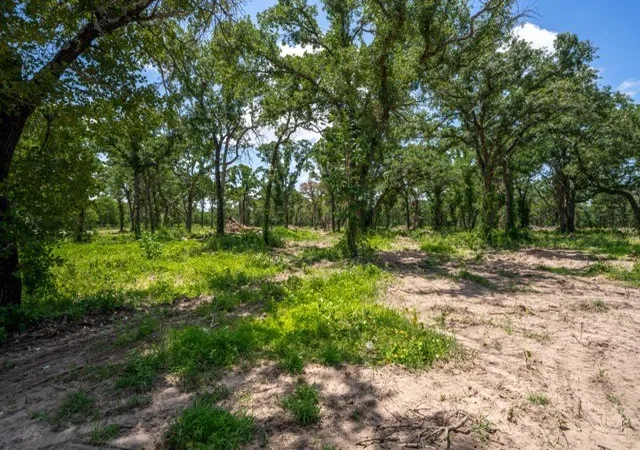 Photo 3 of Land for sale at Tbd- Lot 4 Hard Rock Ln, Mineral Wells, TX 76067 | MLS# 21300039 | Listing updated on 2026-08-22