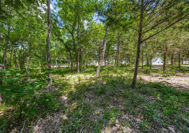 Photo 3 of Land for sale at 507 Charlie Joseph Dr, Van Alstyne, TX 75495 | MLS# 21300233 | Listing updated on 2026-07-13