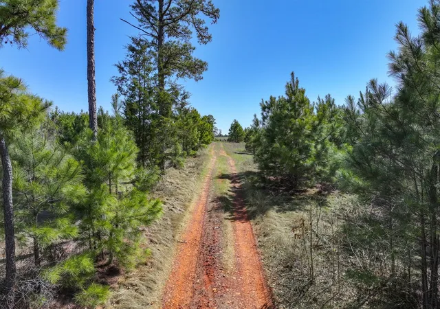 Photo 3 of Sale Pending at Tbd Cr 3875, Mineola, TX 75773 | MLS# 21300362 | Listing updated on 2026-07-12
