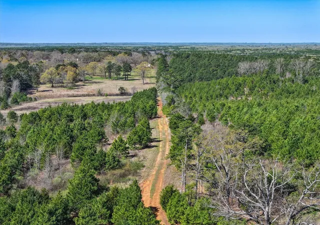 Photo 3 of Sale Pending at Tbd Cr 3875, Mineola, TX 75773 | MLS# 21300362 | Listing updated on 2026-07-12