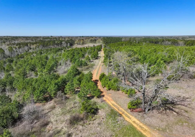 Photo 4 of Sale Pending at Tbd Cr 3875, Mineola, TX 75773 | MLS# 21300362 | Listing updated on 2026-07-12