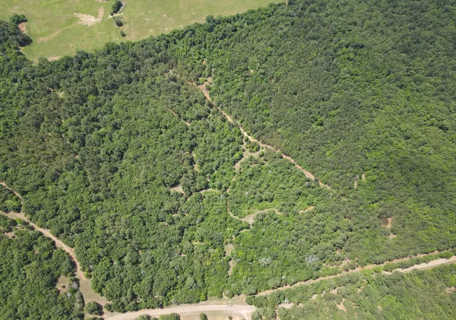 Photo 2 of Land for sale at Tbd 35 +/  Ac Vz County Road 4814, Ben Wheeler, TX 75754 | MLS# 21300513 | Listing updated on 2026-08-22