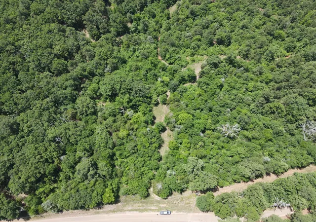 Photo 3 of Land for sale at Tbd 35 +/  Ac Vz County Road 4814, Ben Wheeler, TX 75754 | MLS# 21300513 | Listing updated on 2026-08-22