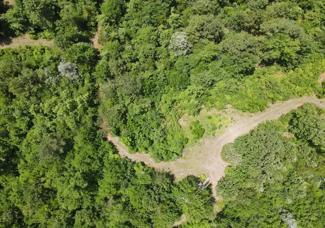 Photo 3 of Land for sale at Tbd 35 +/- Ac Vz County Road 4814, Ben Wheeler, TX 75754 | MLS# 21300513 | Listing updated on 2026-08-22