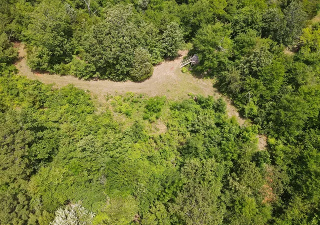 Photo 4 of Land for sale at Tbd 35 +/- Ac Vz County Road 4814, Ben Wheeler, TX 75754 | MLS# 21300513 | Listing updated on 2026-08-22
