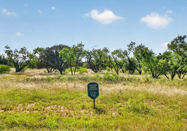 Homes for sale in Strawn, TX | Lot 30 Tbd Bigfoot Road, Strawn, TX 76475 | MLS# 21297332