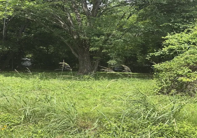 Photo 1 of Land for sale at 1544 Acorn, Shreveport, LA 71101 | MLS# 21300381 | Listing updated on 2026-09-22