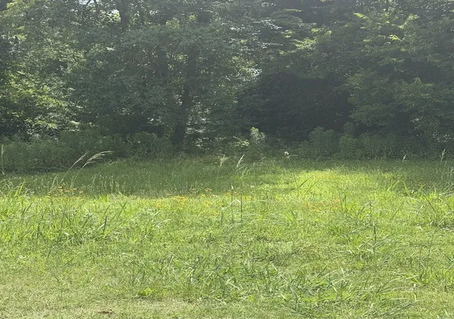 Photo 2 of Land for sale at 1544 Acorn, Shreveport, LA 71101 | MLS# 21300381 | Listing updated on 2026-09-22