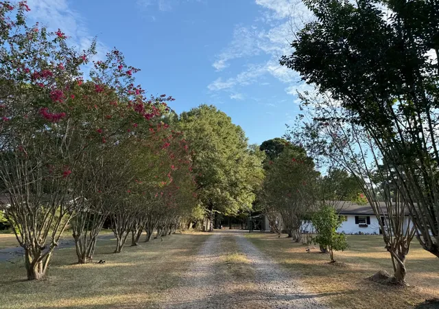 Photo 3 of Single family home for sale at 24133 Hwy 157, Springhill, LA 71075 | MLS# 21301083 | Listing updated on 2026-09-29