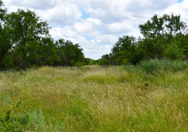 Photo 4 of Land for sale at Tbd E Fm 576, Breckenridge, TX 76424 | MLS# 21300132 | Listing updated on 2026-10-02